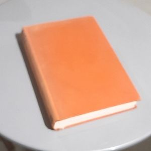 (1934 Edition) | Appointment In Samarra by John O'Hara